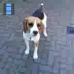 2009 Helmond.Laky achtertuin.web