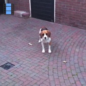 2011 Helmond.Laky achtertuin.web