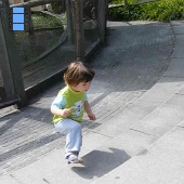 2012 Harderwijk.Adrian in Dolfinaruim.1.web