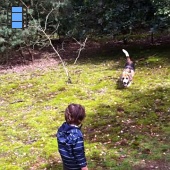 2012 Helmond.Adrian en Laky in bos.web