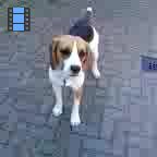 2009 Helmond.Laky achtertuin.web