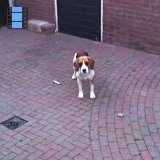 2011 Helmond.Laky achtertuin.web