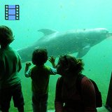 2012 Harderwijk.Adrian in Dolfinaruim.2.web